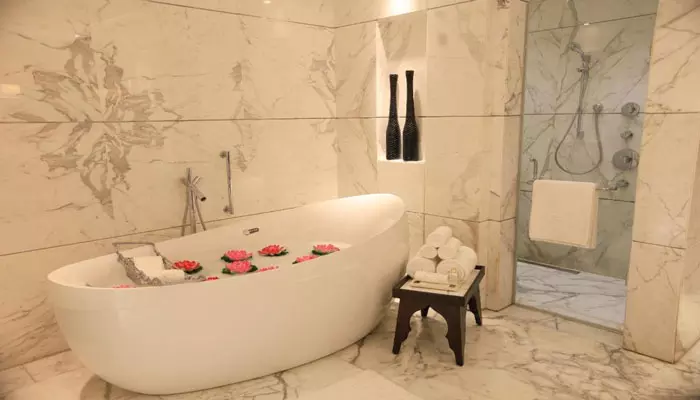 هتل د لیلا آمبینس کانونشن دهلی