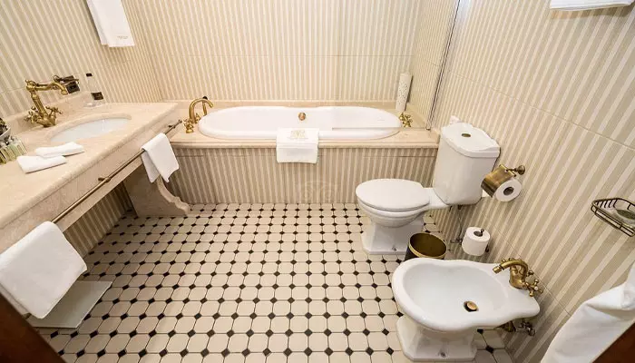 هتل ترزینی پالاس سنت پترزبورگ